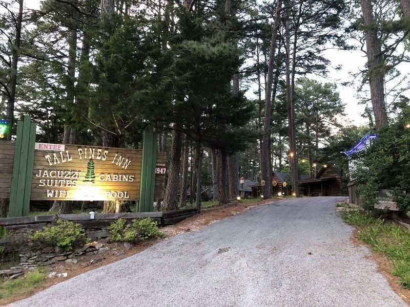 Tall Pines Motor Inn. Click for full size. Tall Pines Motor Inn image. Click for full size.