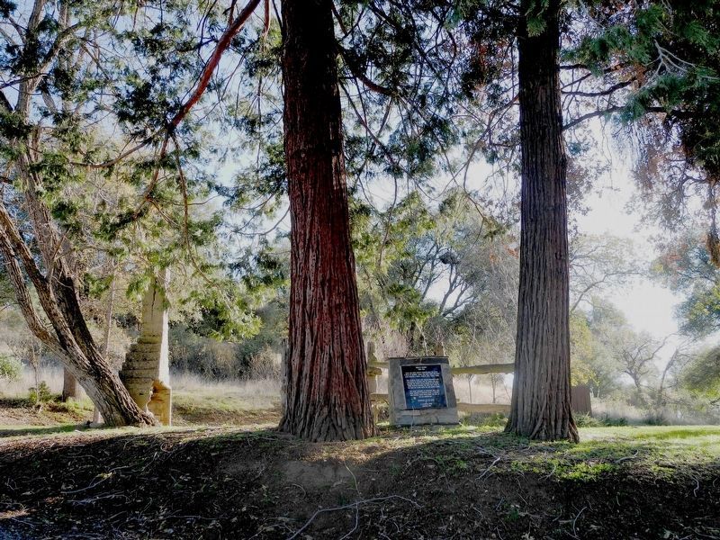 Bissett Station Marker and Cedar Trees. Click for full size. Bissett Station Marker and Cedar Trees image. Click for full size.