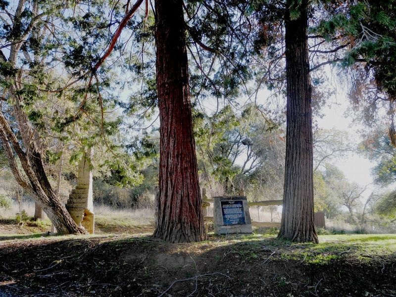 Bissett Station Marker and Cedar Trees image. Click for full size.