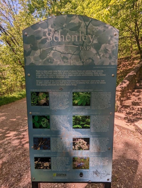 Schenley Park Marker image. Click for full size.