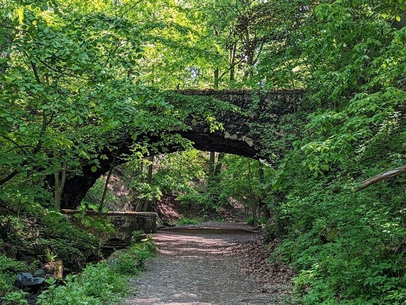 One of the tufa bridges in Panther Hollow image. Click for full size.