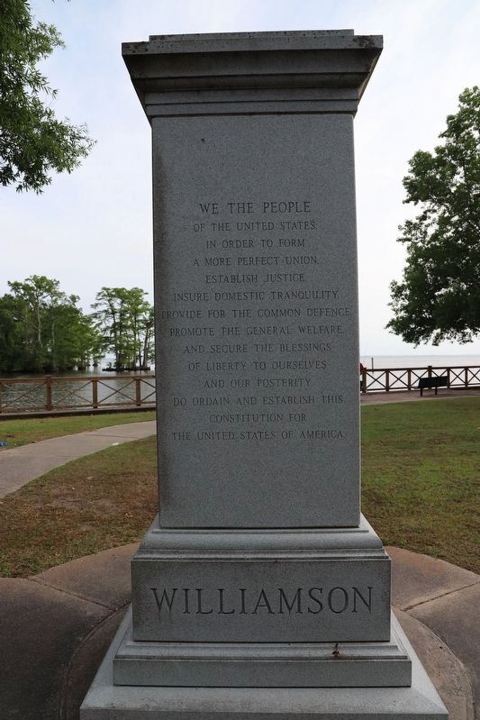 Williamson Monument (side 2) image. Click for full size.