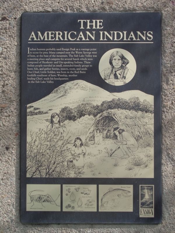 The American Indians Marker image. Click for full size.