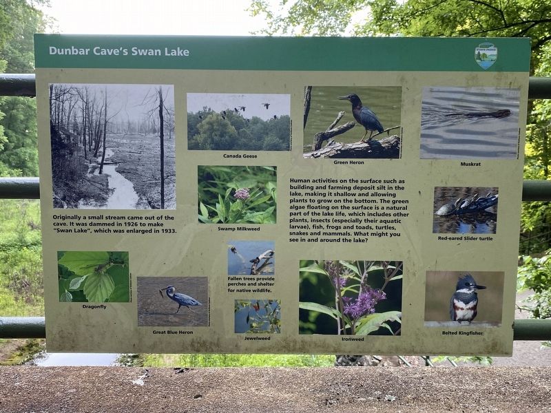 Dunbar Cave's Swan Lake Marker. Click for full size. Dunbar Cave's Swan Lake Marker image. Click for full size.