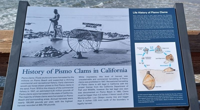 History of Pismo Clams in California Marker image. Click for full size.