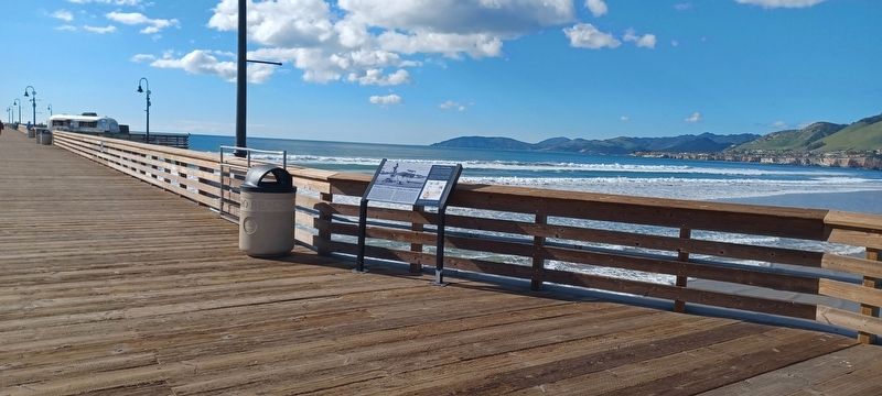 History of Pismo Clams in California Marker image. Click for full size.