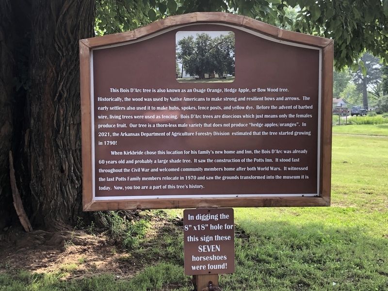 Bois D'Arc Tree side of marker. Click for full size. Bois D'Arc Tree side of marker image. Click for full size.