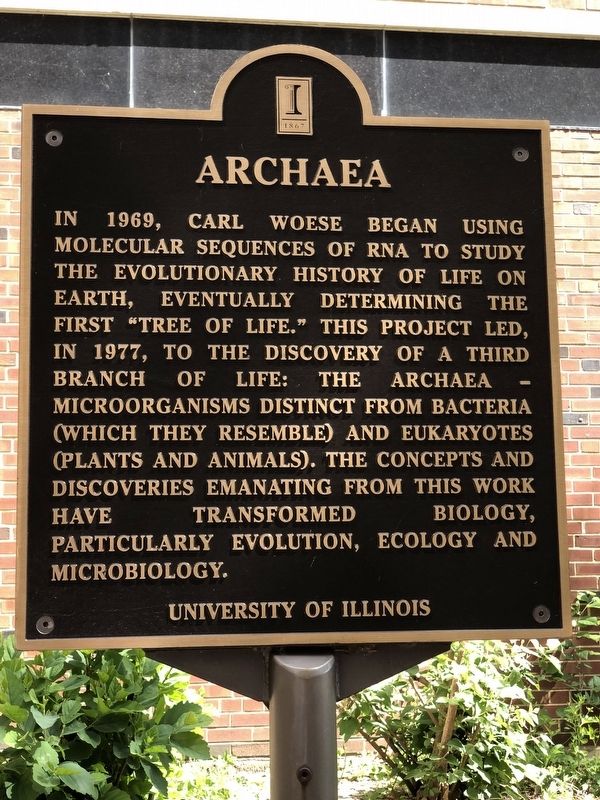 Archaea Marker image. Click for full size.