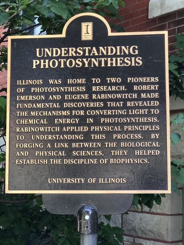 Understanding Photosynthesis Marker image. Click for full size.