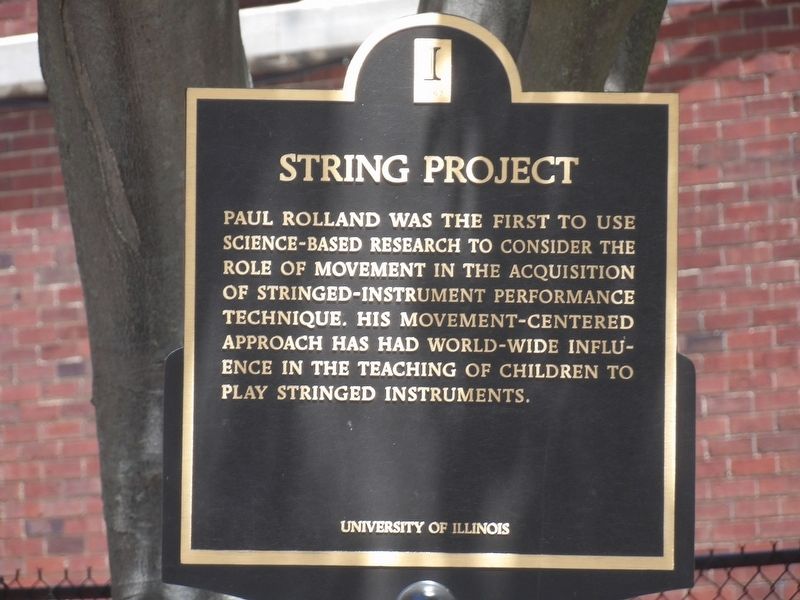 String Project Marker image. Click for full size.