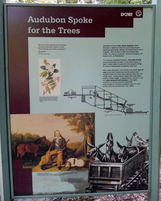 Audubon Spoke for the Trees Marker image. Click for full size.