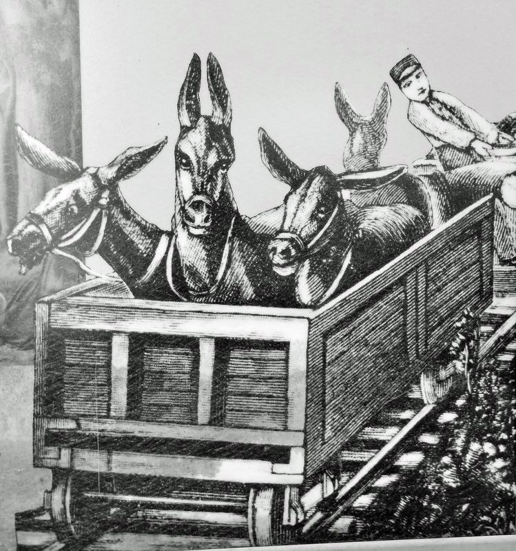 Marker detail: Buck Mountain Gravity Railroad image. Click for full size.