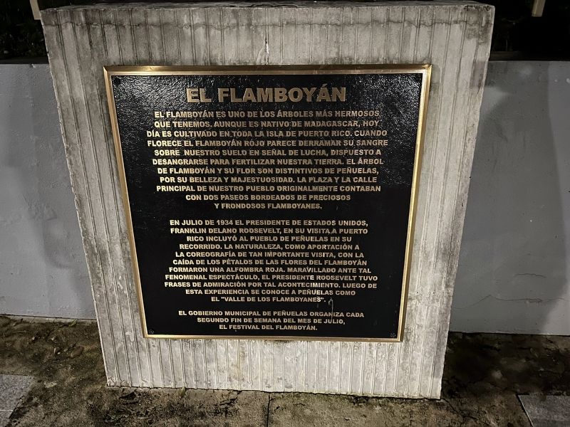 El Flamboyn Marker image. Click for full size.