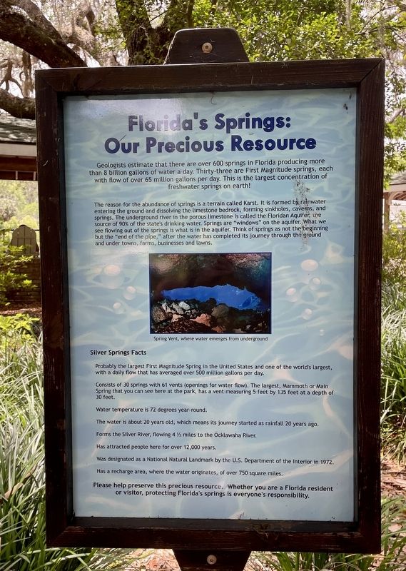 Florida’s Springs: Our Precious Resource Marker. Click for full size. Florida’s Springs: Our Precious Resource Marker image. Click for full size.