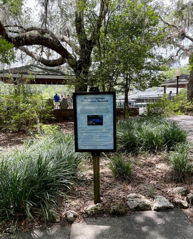 Florida’s Springs: Our Precious Resource Marker. Click for full size. Florida’s Springs: Our Precious Resource Marker image. Click for full size.