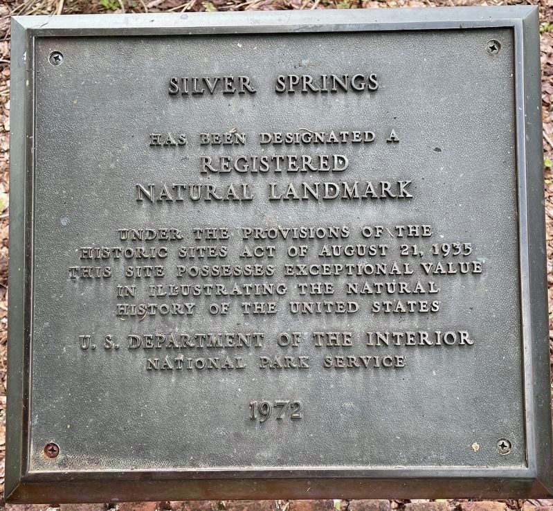 Silver Springs. Click for full size. Silver Springs image. Click for full size.