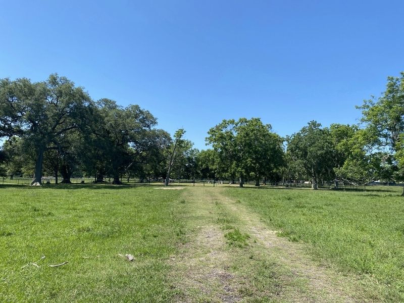 Dirt road leading to the Brown-Beard Cemetery. image. Click for full size.