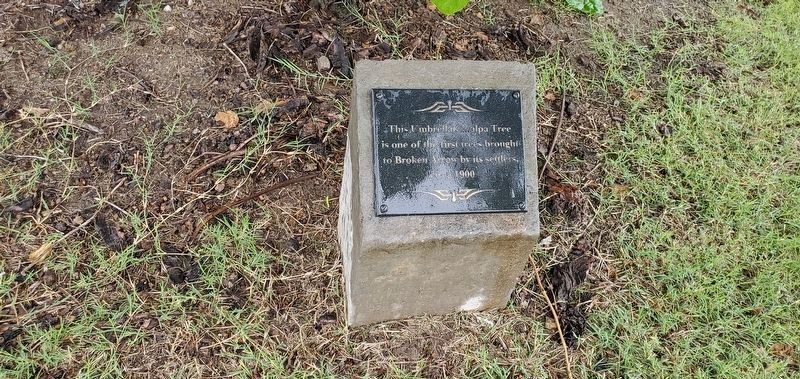 Catalpa Tree Marker. Click for full size. Catalpa Tree Marker image. Click for full size.