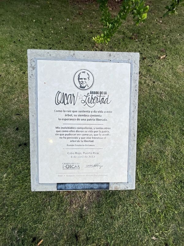 Árbol de la Libertad Marker. Click for full size. Árbol de la Libertad Marker image. Click for full size.