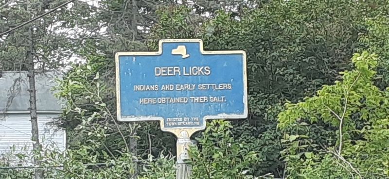 Deer Licks Marker image. Click for full size.