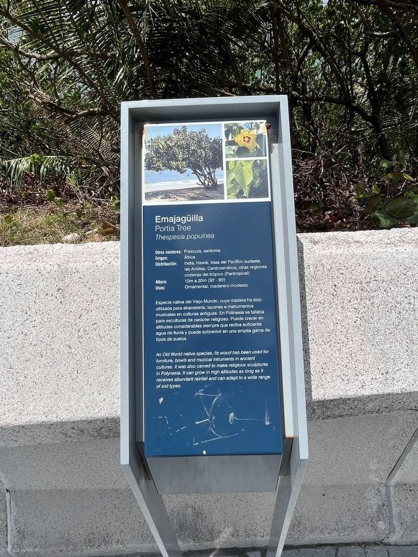 Emajag�illa Marker image. Click for full size.