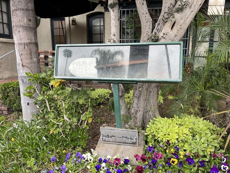 This Olive Tree Marker image. Click for full size.