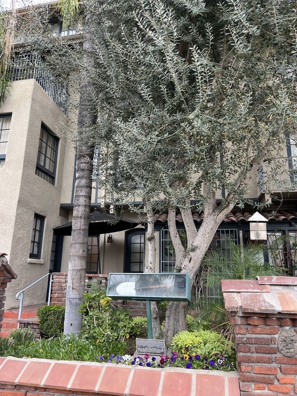 This Olive Tree Marker image. Click for full size.
