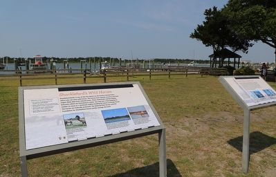 Shackleford's Wild Horses Marker. Click for full size. Shackleford's Wild Horses Marker image. Click for full size.