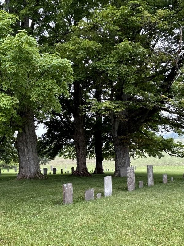 Site of First Public Cemetery Marker. Click for full size. Site of First Public Cemetery Marker image. Click for full size.