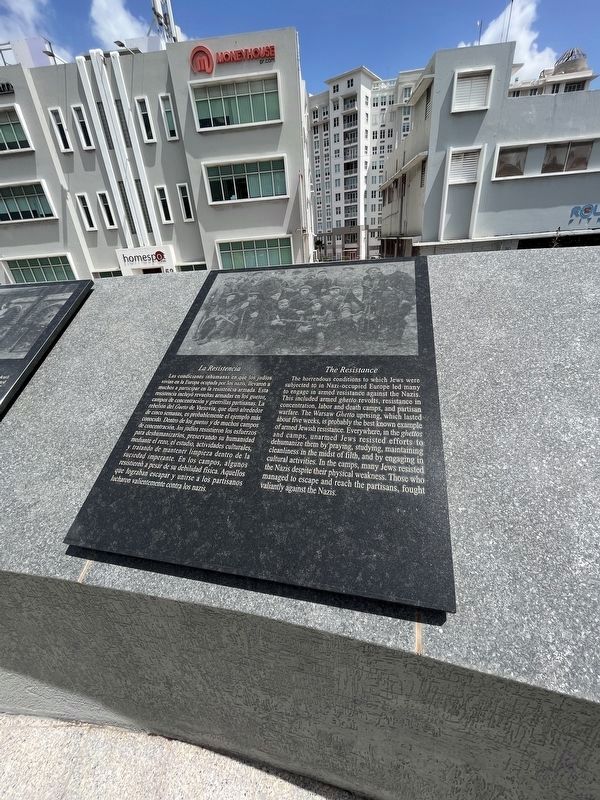 La Resistencia / The Resistance Marker image. Click for full size.