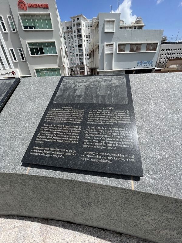 Liberaci�n / Liberation Marker image. Click for full size.