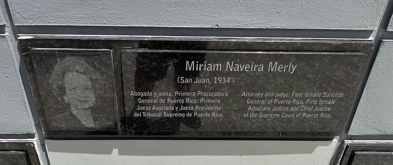 Miriam Naveira Merly Marker. Click for full size. Miriam Naveira Merly Marker image. Click for full size.