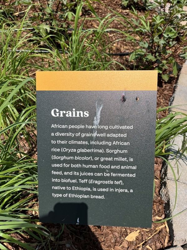 Grains Marker image. Click for full size.
