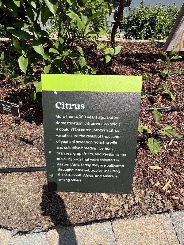 Citrus Marker. Click for full size. Citrus Marker image. Click for full size.