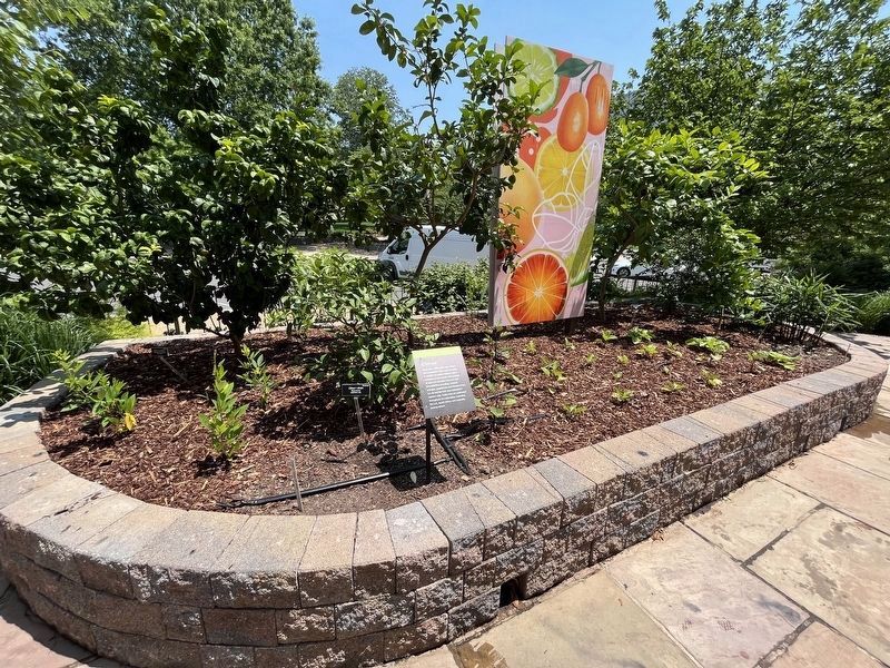 Citrus Marker. Click for full size. Citrus Marker image. Click for full size.