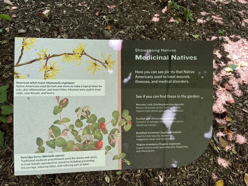Medicinal Natives Marker image. Click for full size.