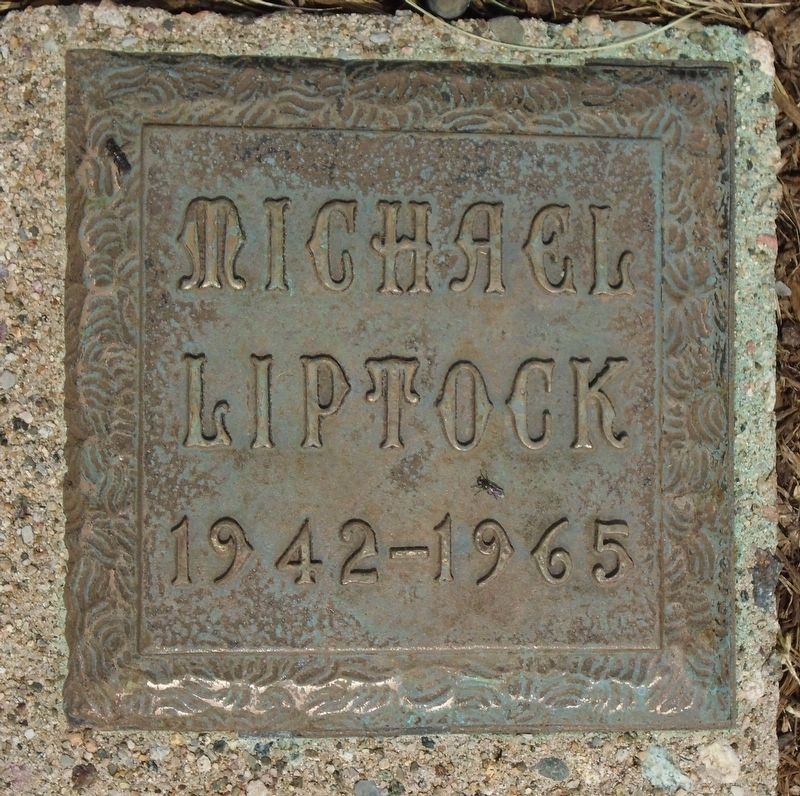 Columbia County Heroes of Vietnam - Michael Liptock image. Click for full size.