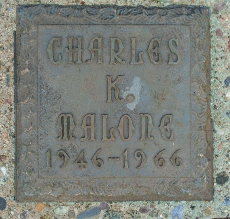 Columbia County Heroes of Vietnam - Charles K. Malone image. Click for full size.