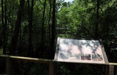 Widow Moores' Bridge Marker image. Click for full size.