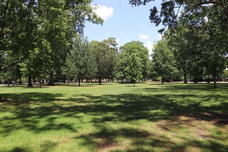 Edgecombe County Confederate Memorial image. Click for full size.