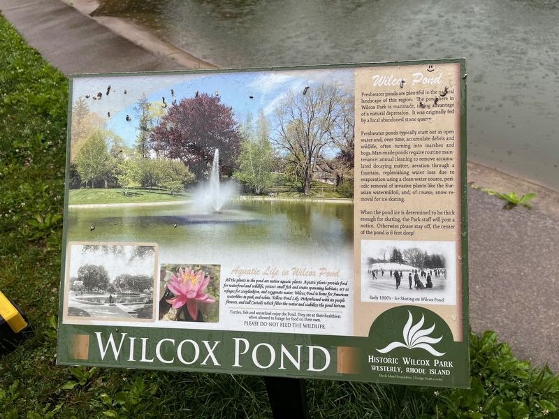 Wilcox Pond Marker image. Click for full size.
