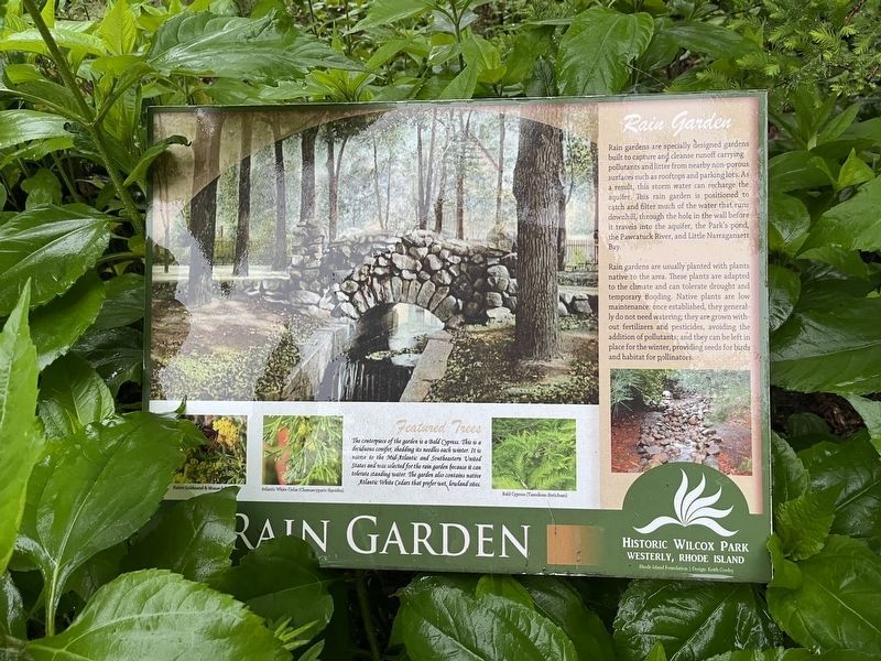 Nearby sign about the park's Rain Garden image. Click for full size.