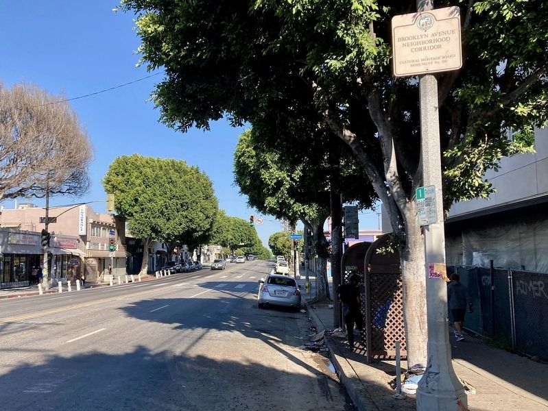 Brooklyn Avenue Marker. Click for full size. Brooklyn Avenue Marker image. Click for full size.