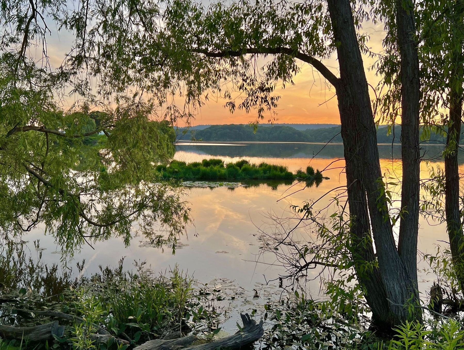 Cootes Paradise, 2023 image. Click for full size.