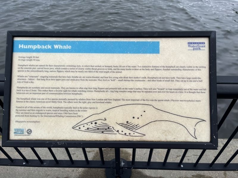 Humpback Whale Marker image. Click for full size.
