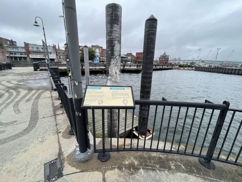 Eastern Oyster / Summer Flounder Marker. Click for full size. Eastern Oyster / Summer Flounder Marker image. Click for full size.