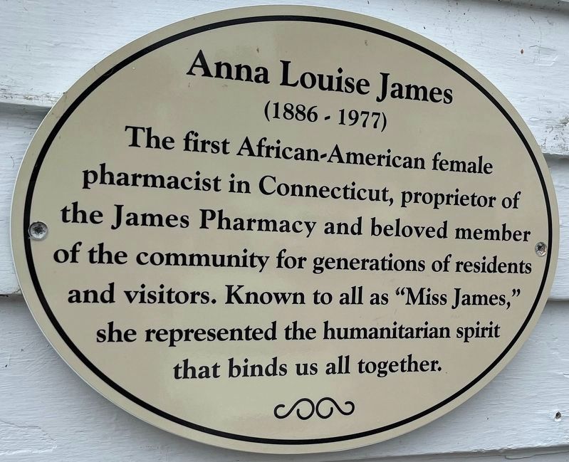 Anna Louise James Marker image. Click for full size.