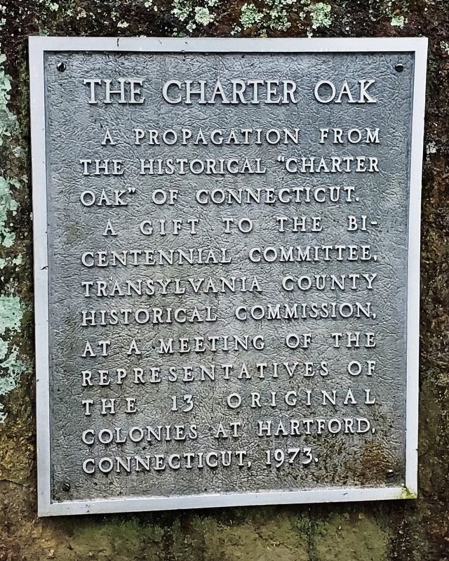 The Charter Oak Marker image. Click for full size.