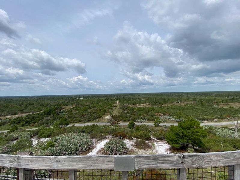 Sand Pine Scrub Marker. Click for full size. Sand Pine Scrub Marker image. Click for full size.
