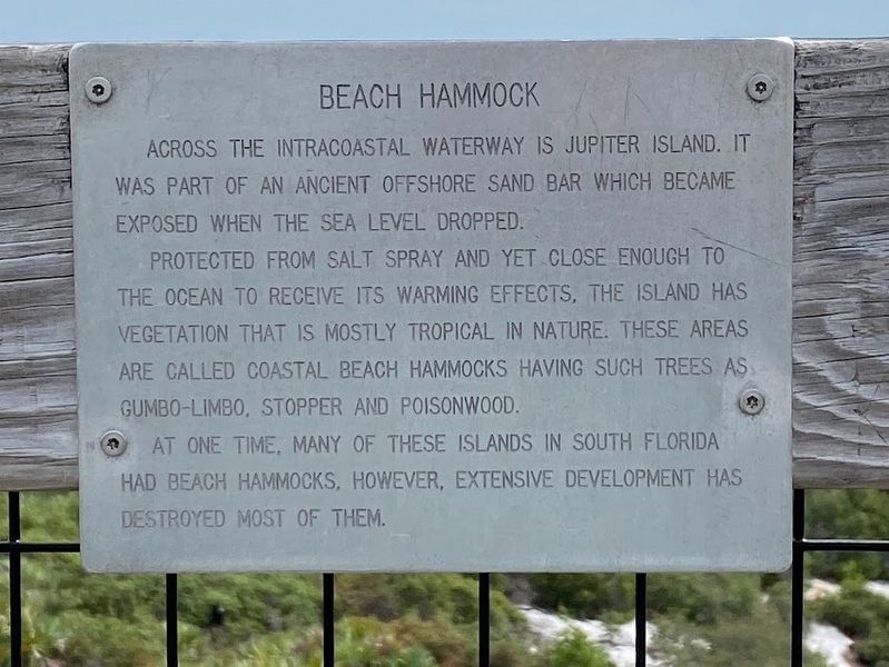 Beach Hammock Marker. Click for full size. Beach Hammock Marker image. Click for full size.